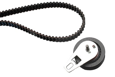 Schaeffler Ina Zahnriemensatz [Hersteller-Nr. 530034710] für Alfa Romeo, Lancia von Schaeffler INA