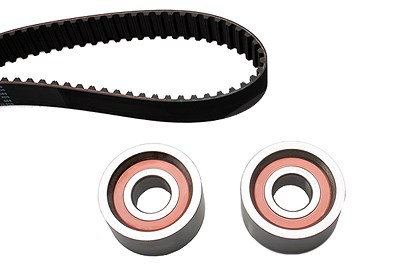 Schaeffler Ina Zahnriemensatz [Hersteller-Nr. 530011310] für Fiat, Iveco, Opel, Renault, Vauxhall von Schaeffler INA