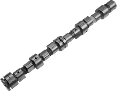 Schaeffler Ina Nockenwelle [Hersteller-Nr. 428005810] für Opel von Schaeffler INA