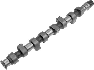 Schaeffler Ina Nockenwelle [Hersteller-Nr. 428006410] für Audi, Seat, VW von Schaeffler INA