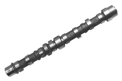 Schaeffler Ina Nockenwelle [Hersteller-Nr. 428010310] für Alfa Romeo, Fiat, Ford, Lancia, Opel von Schaeffler INA