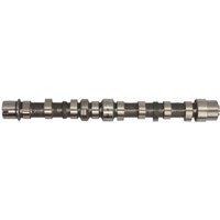 Nockenwelle INA 428 0103 10 von INA