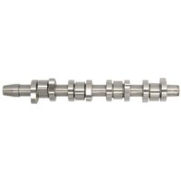 Nockenwelle INA 428 0159 10 Nockenwelle INA 428 0159 10 von INA