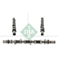 Nockenwelle INA 428 0198 10 Nockenwelle INA 428 0198 10 von INA