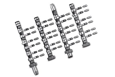 Schaeffler Ina Nockenwellensatz [Hersteller-Nr. 428003830] für Audi, Skoda, VW von Schaeffler INA