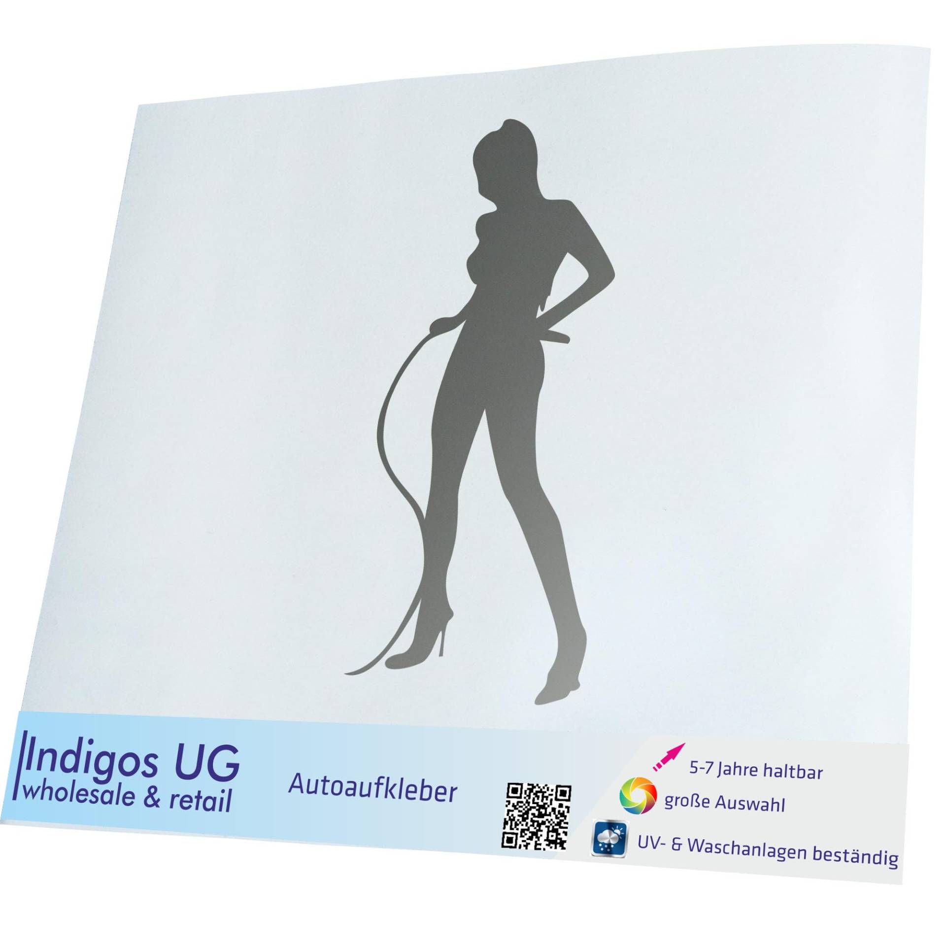 INDIGOS UG Auto Aufkleber Auto - 110x50 mm - Domina - Silber - konturgeschnittener Autoaufkleber ohne Hintergrund - Selbstklebender Sticker für Auto, Fenster, Bus oder LKW - UV-beständig & wetterfest INDIGOS UG Auto Aufkleber Auto - 110x50 mm - Domina - Silber - konturgeschnittener Autoaufkleber ohne Hintergrund - Selbstklebender Sticker für Auto, Fenster, Bus oder LKW - UV-beständig & wetterfest von INDIGOS UG