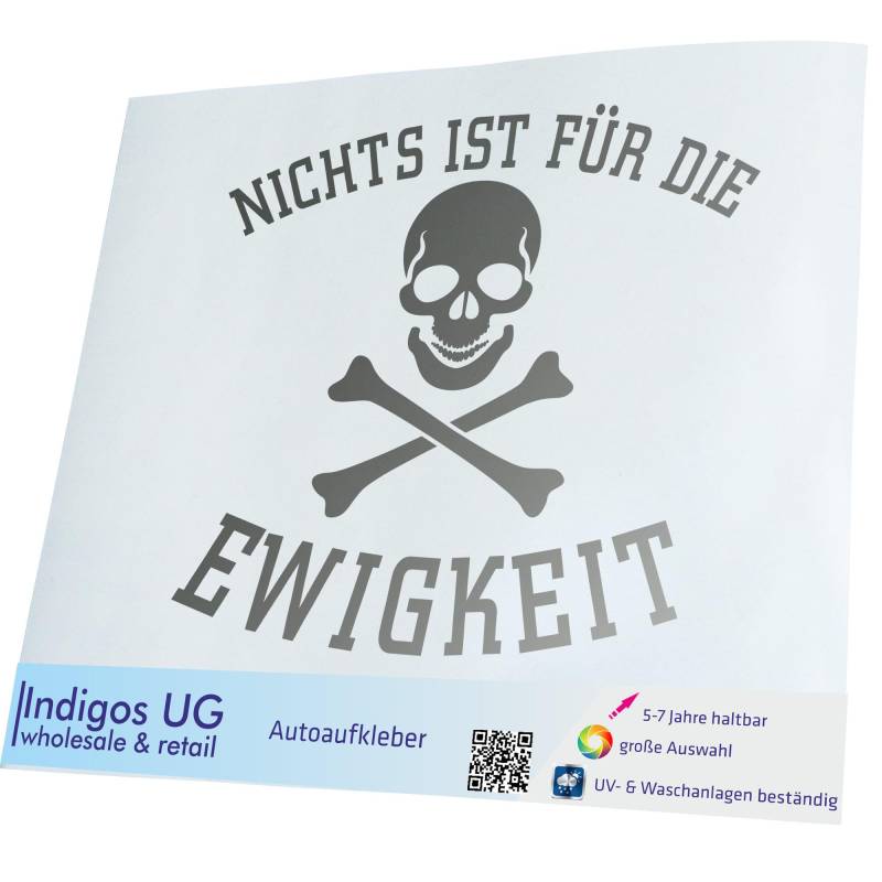 INDIGOS UG Auto Aufkleber Auto - 300x254 mm - Nichts ist für die Ewigkeit - Silber - Selbstklebender Sticker für Auto, Fenster, Bus oder LKW von INDIGOS UG