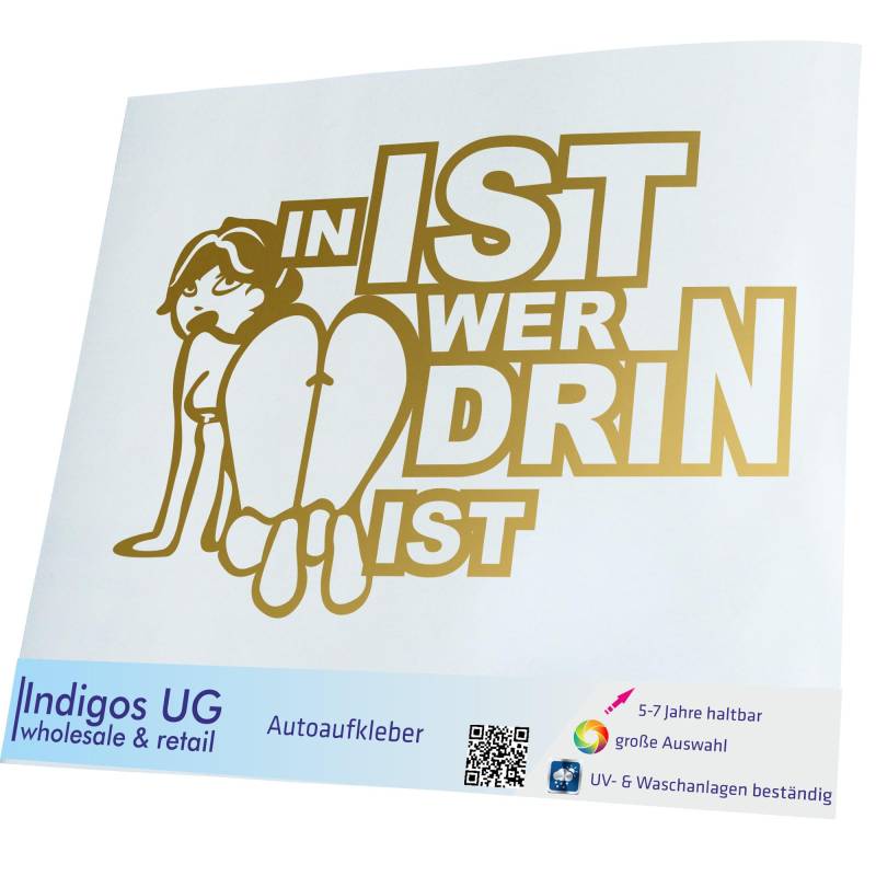 INDIGOS UG Auto Aufkleber Auto - 170x110 mm - In ist wer drin ist - Gold - Selbstklebender Sticker für Auto, Fenster, Bus oder LKW von INDIGOS UG