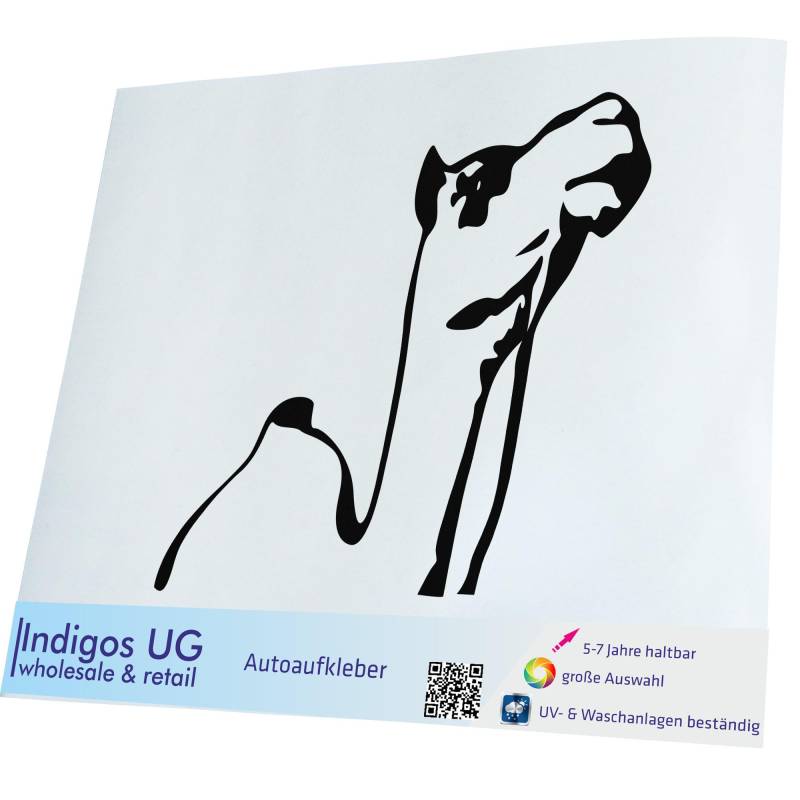 Indigos UG Auto Aufkleber Auto - 400x400 mm - Camel - schwarz - konturgeschnittener Autoaufkleber ohne Hintergrund - selbstklebender Sticker für Auto, Fenster, Bus oder LKW - UV-beständig & wetterfest von INDIGOS UG