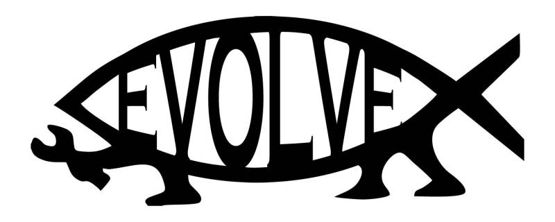 INDIGOS UG Auto Aufkleber Evolve Fish Darwin Bumper Sticker 127mmX63mm 127mmX63mm von INDIGOS UG
