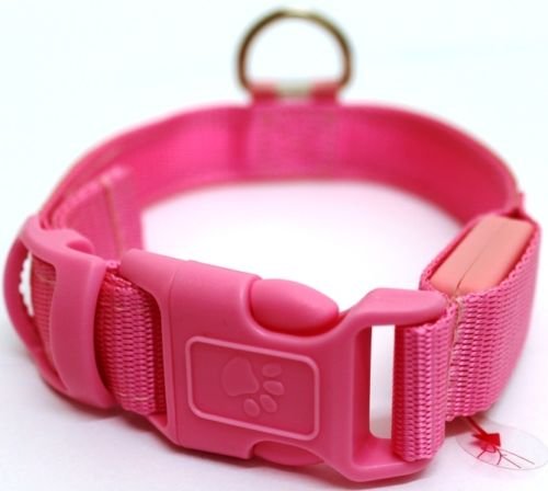 Halsband LED / Leuchthalsband / Hundehalsband / Hund / Farbig * ROT * BLAU * GRÜN * ORANGE * POSA * SCHWARZ / 3 Leuchtmodi Halsband für die Nacht (Rosa, M) von INION