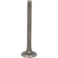 Einlassventil INPARTS IP000437 von Inparts