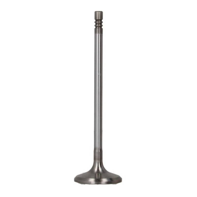 EinlaàŸventil FRECCIA R6787/SCR von IPSA