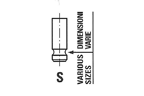 FRECCIA R6566/SNT Einlaßventil FRECCIA R6566/SNT Einlaßventil von IPSA
