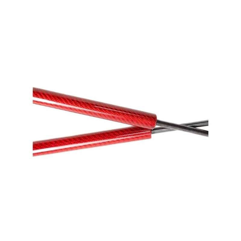 IPUDIS Gasdruckfeder Heckklappe Für Lexus is F IS250 IS300 IS350 2005–2015, ohne Spoiler, Heckklappe, Kofferraum, Gasdruckfedern, Lift, unterstützt Gasfeder, 18,31 Dämpfer von IPUDIS