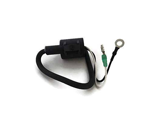 Boot Motor Hochdruck T20-06030003 Zündspule B für Parsun Makara T20 T25 T30A 2 Hub Motor Boot Motor Hochdruck T20-06030003 Zündspule B für Parsun Makara T20 T25 T30A 2 Hub Motor von ITACO