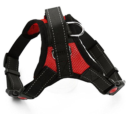 ITODA Hundegeschirr No Pull Design Brustgeschirr Sicherheitsgeschirr mit Hundeleine Weich Einstellbar Nylon Geschirr Hunde in veischiedenen Farben Größe für Laufen Training Spaziergänge Auto Rot ITODA Hundegeschirr No Pull Design Brustgeschirr Sicherheitsgeschirr mit Hundeleine Weich Einstellbar Nylon Geschirr Hunde in veischiedenen Farben Größe für Laufen Training Spaziergänge Auto Rot von ITODA