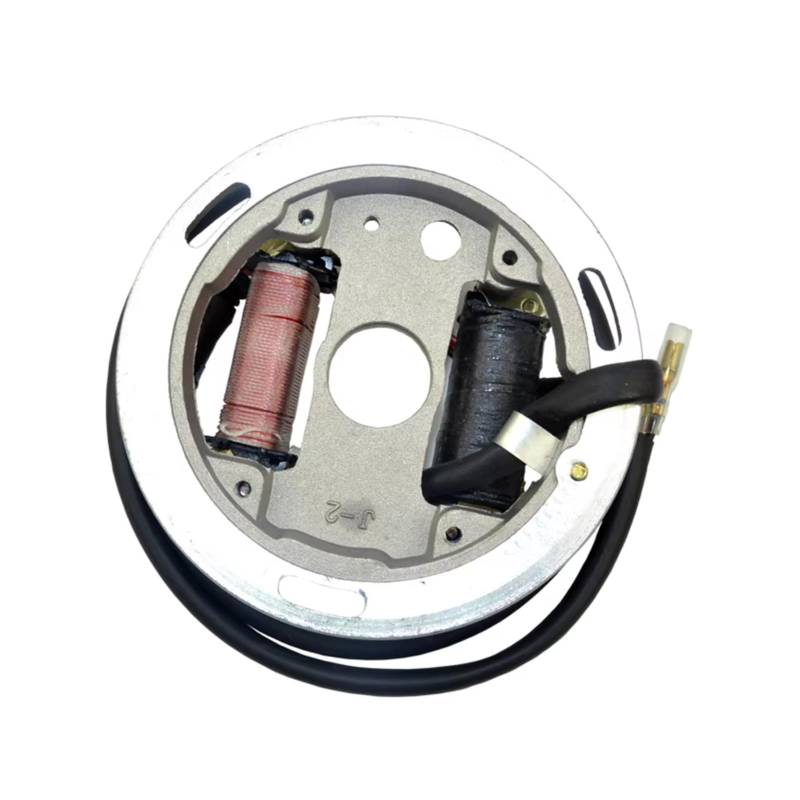 IUKMRT Stator Zündspule Für Kawasaki Für KFX 80 2003-06 21003-S005 Motorrad Spule Zündung Magneto Stator Platte Zündstatorspule von IUKMRT