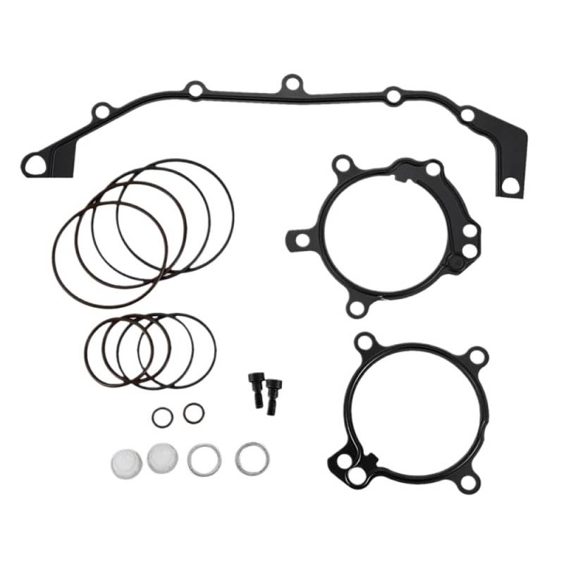 Dual Vanos Seal Reparaturkit kompatibel mit E36 E39 E46 E53 E60 E83 E85 M52TU M54 M56 von IVLAZLRG