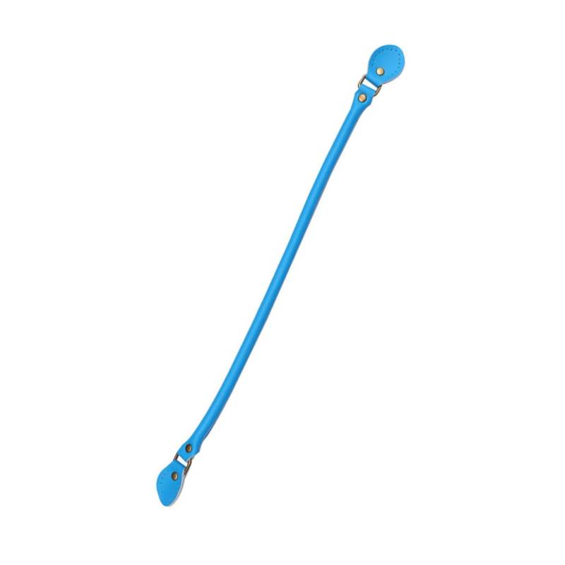 IWOWHERO Leder Taschengriff Handtaschengurt Handtaschengürtel Tragetasche Ersatzzubehör Schultergurt Für Tasche Blau von IWOWHERO