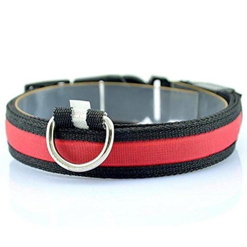 Igemy LED Nylon Hund Haustier Sicherheit Nacht Halskette Anti-verloren Blinkende Glitzer Halsbänder Hund (S, Rot) von Igemy