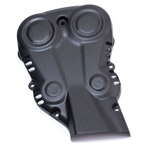 Carbon Teile für Ducati Monster/matt Ilmberger von Ilmberger