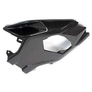 Carbonteile für BMW S1000 RR ab 2019 Ilmberger von Ilmberger