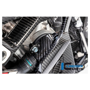 Carbonteile für BMW S1000 RR ab 2019 Ilmberger von Ilmberger