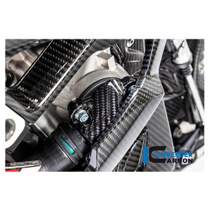 Carbonteile für BMW S1000 RR ab 2019 Ilmberger von Ilmberger