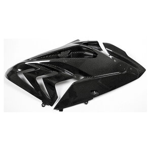 Carbonteile für BMW S1000 RR bis 2018 Ilmberger von Ilmberger
