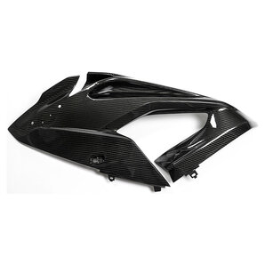 Carbonteile für BMW S1000 RR bis 2018 Ilmberger von Ilmberger