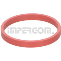 Dichtring, Ladeluftschlauch IMPERGOM 20287 Dichtring, Ladeluftschlauch IMPERGOM 20287 von Impergom