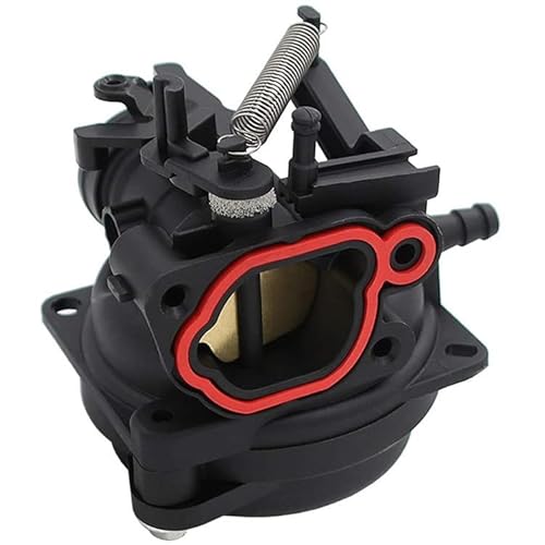 Vergaser für 799584, 798675, 592361, 799579 von InnoYiensi