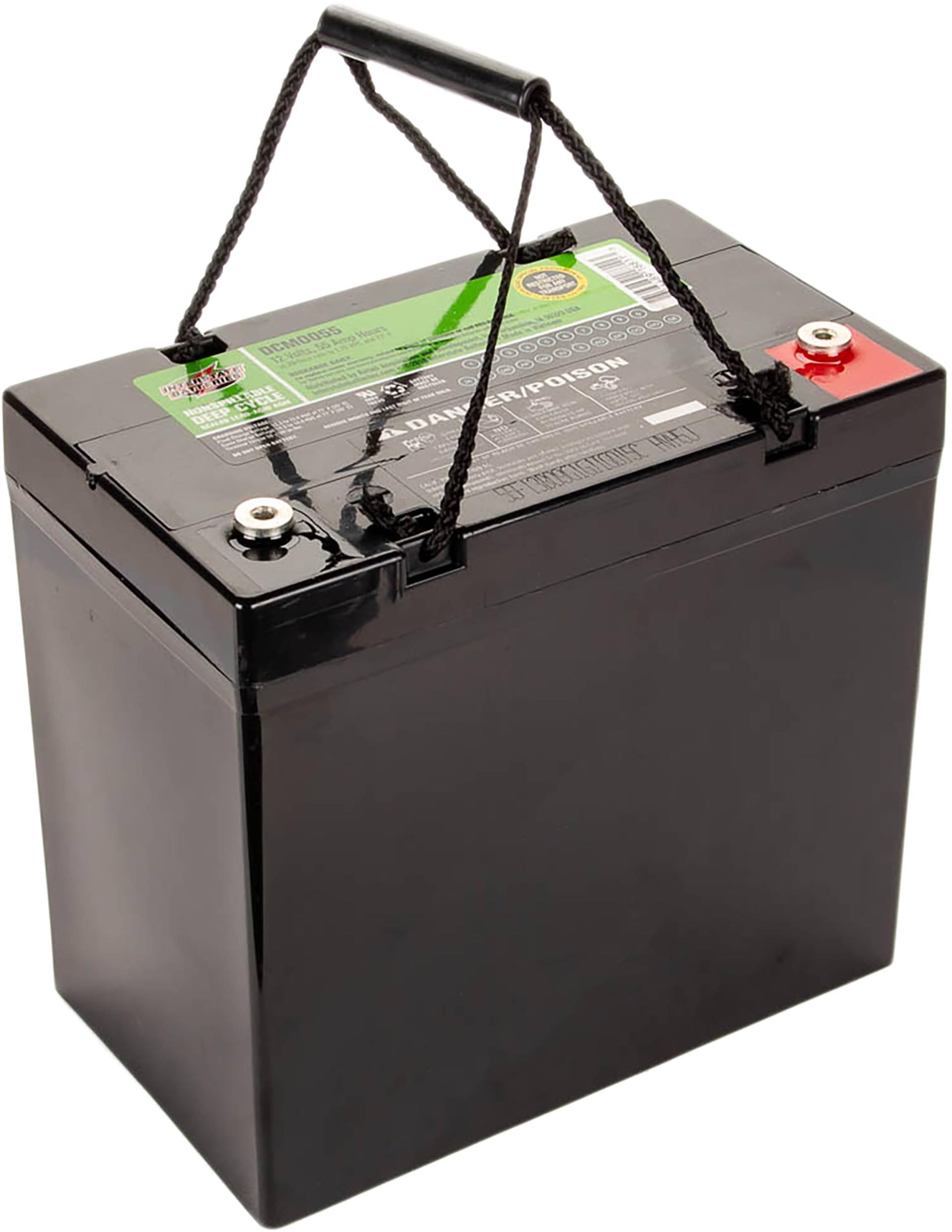 Interstate Batteries 12 V 55 Ah SLA/AGM Deep Cycle Batterie – Steckklemme (DCM0055) von Interstate Batteries