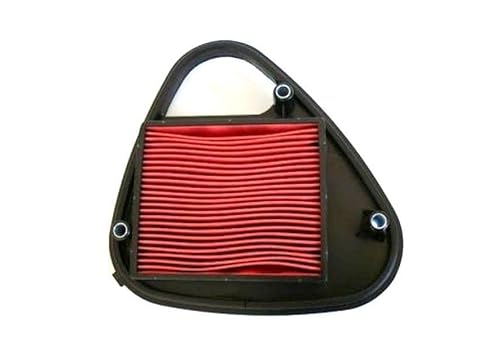 Luftfilter für HONDA VT600 C SHADOW 1988-1997#17205-MR1-000 Air filter von ItalyRacing