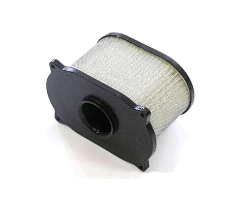 Luftfilter für SUZUKI SV 650 S 1999-2002 Air filter #13780-20F00 von ItalyRacing