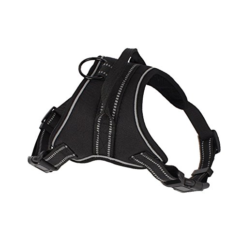 j-power 3 m Reflektierende Nylon Hundegeschirr für kleine Hunde. Für mittelgroße Hunde, Große Hunde, mit einem gratis Leine j-power 3 m Reflektierende Nylon Hundegeschirr für kleine Hunde. Für mittelgroße Hunde, Große Hunde, mit einem gratis Leine von J-power