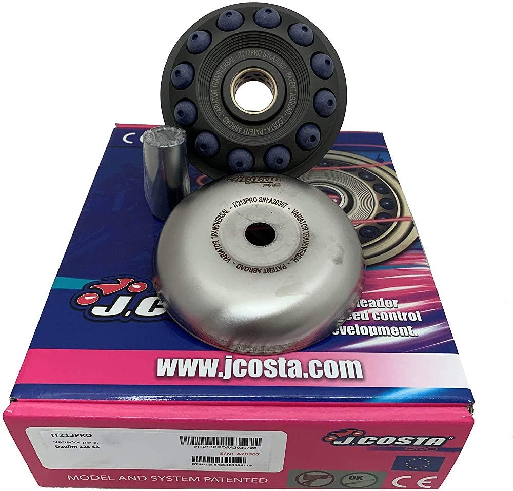 J. Costa IT213PRO Variomatik PRO Daelim 125 S3 J. Costa IT213PRO Variomatik PRO Daelim 125 S3 von J.COSTA