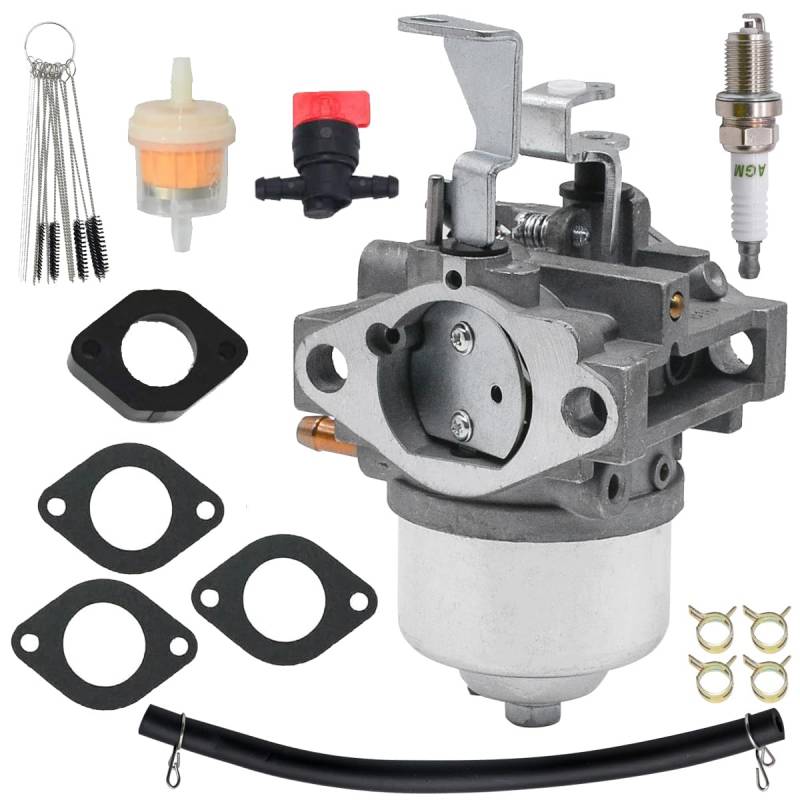 JDLLONG 716116 Rasenmäher Vergaser für Briggs Stratton 246000 246432 246435 246437 Motoren mit Dichtungen von JDLLONG