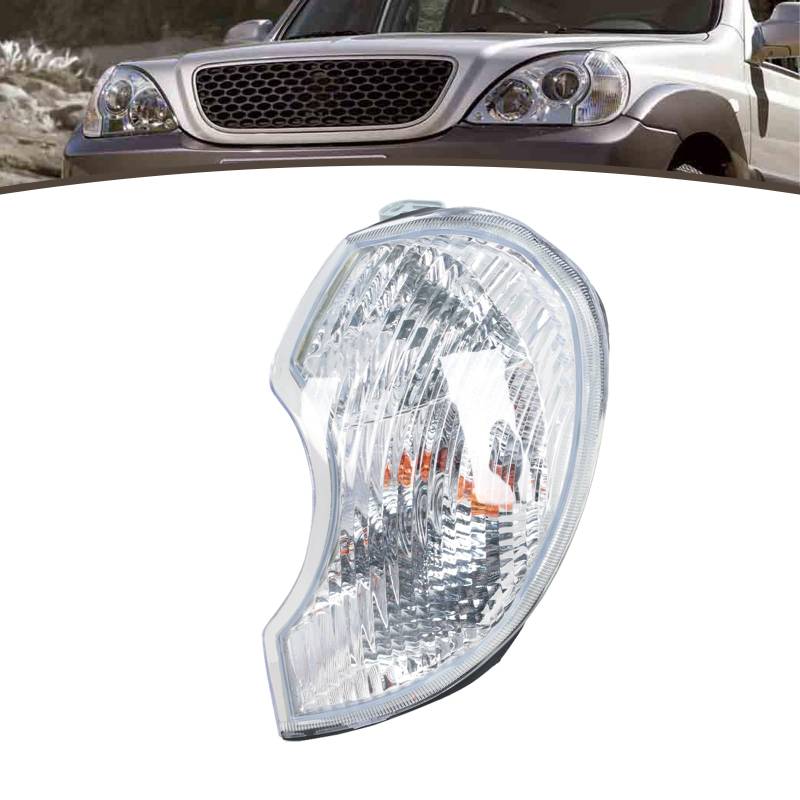 JESYMBX Seitenmarkierungsleuchte vorne für Hyundai Terracan 2001-2006 Blinker Nebelscheinwerfer Scheinwerfer 92301H1010 links von JESYMBX