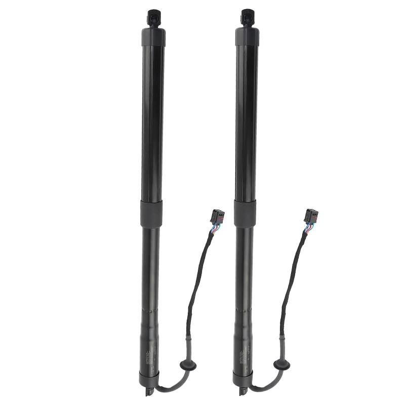 Ausschubkraft Gasdruckfeder Für Hyundai Für Santa Fe 2013 2014 2015-2019 Links Hinten Rechts Stamm Heckklappe Power Hatch Lift Unterstützung Opener 81780B8100 81771B8100 Gasfeder Kompatibel von JHMHCOQ