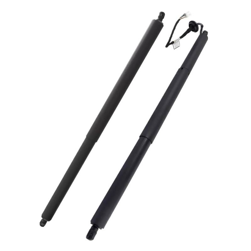 Ausschubkraft Gasdruckfeder Für Tesla Für Modell Für X 2016 2017 2018-2023 Heckklappe Hatch Lift Unterstützung Strut Shock Power Heckklappe Streben 106566400B 112969800A Gasfeder Kompatibel von JHMHCOQ