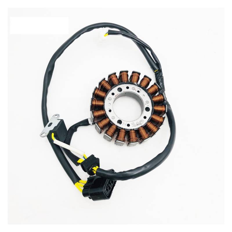 Ersatzteile, Magnetmotor-Magneto-Stator-Anzug (EFI-Modell), passend für LINHAI 400cc Quad 4x4 ATV UTV QUAD GO KART von JHwXsZ