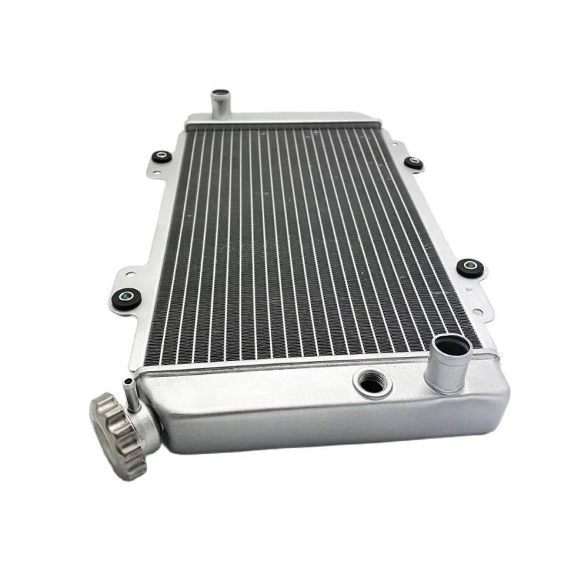 Ersatzteile ATV Quad Kühler 19202-107-0000 HS ATV Teile passend für Hisun 700CC von JHwXsZ
