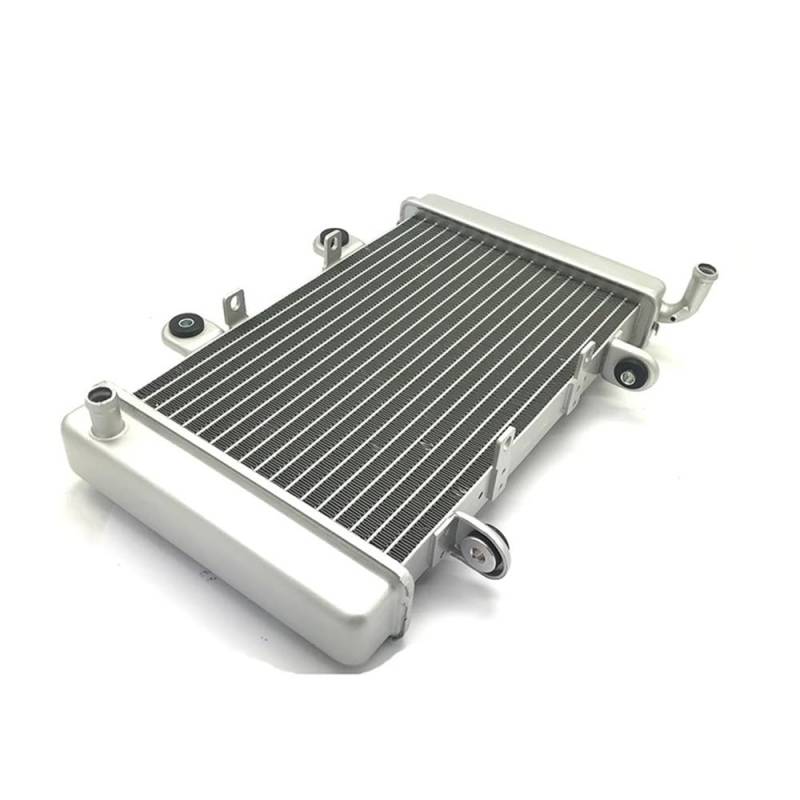 Kompatibler Kühler für Shin ST-9E Stixe Parts 250CC ATV Quad Kühlsystem Ersatz ST9E Wasserkühltank (1) von JHwXsZ