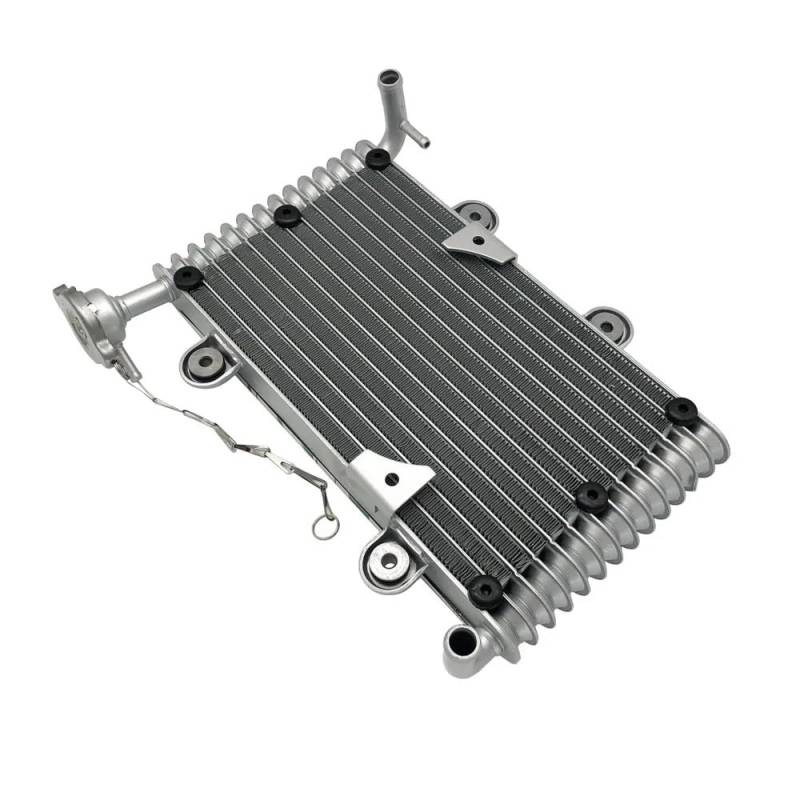 Kühler Kühler 152000 007 Fit for Bashan BS200 BS200S 7 ATV Quad 200CC 250CC Motor Kühlsystem Modelle Ersatz von JHwXsZ