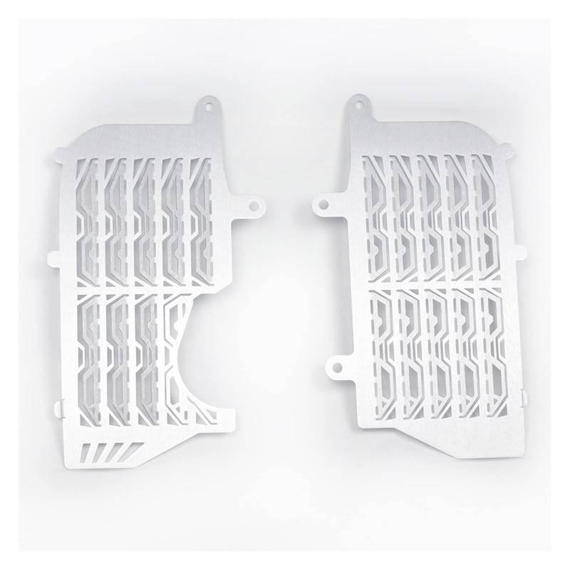 JIBULINS Kühlergrillabdeckung Compatible with Hon Da CRF1100L Africa Twin 2020 2021 CRF 1100 L Adventure Sports CRF1100 L Motorrad Kühlergrill Schutz Abdeckung Schutz(Silver3) von JIBULINS