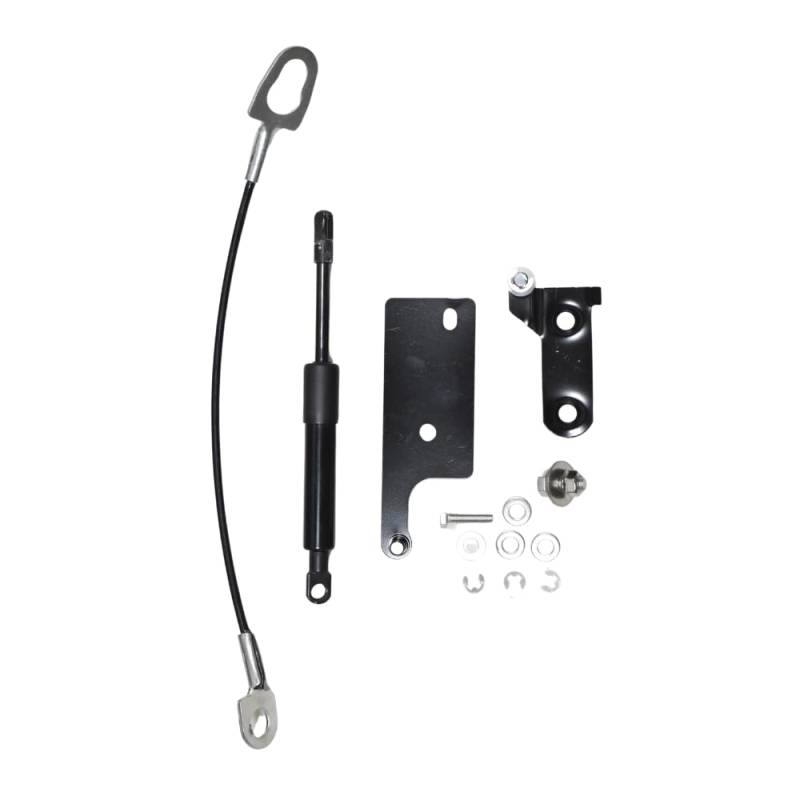 JINGLINGKJ 2015-2019 Hi-lux Gun125 AN120 AN130 Revo Spezifische Gasdruckfedern für Heckklappe Kofferraum 1 Stück (Black) von JINGLINGKJ