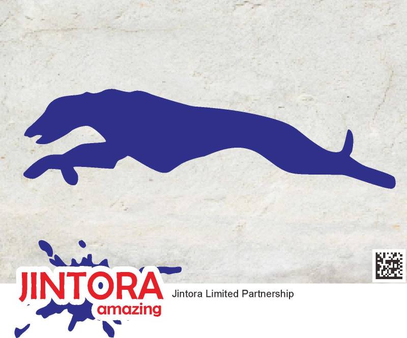 JINTORA - Autoaufkleber Tuning - Greyhound Run - 149x40mm - Auto Aufkleber - Bus - Fenster - Heckscheibe - Camper - wetterfest - Outdoor Sticker - Auto Deko - LKW - Tuning Selbstklebend - blau von JINTORA
