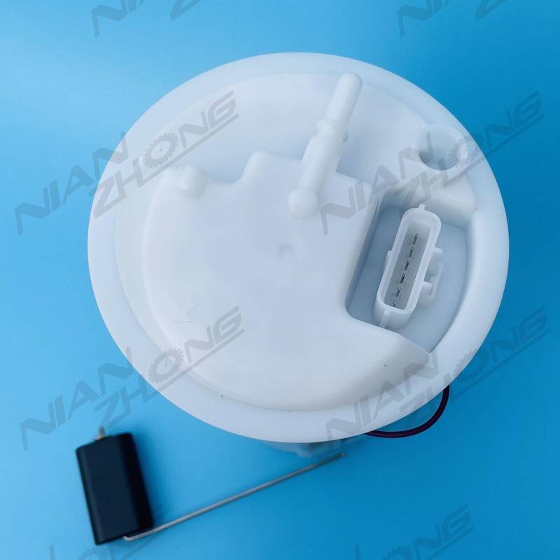 Kraftstoffpumpenbaugruppe 30778660 0580314039 für Volvo S40 II V50 C70 II C30 3079239 von JKAPCYJFHF